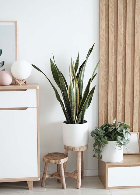 Hoem decor 2